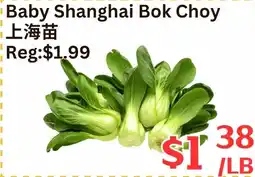 Farm Fresh Supermarket Baby Shanghai Bok Choy offer