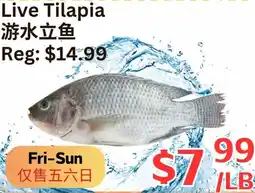 Farm Fresh Supermarket Live Tilapia offer