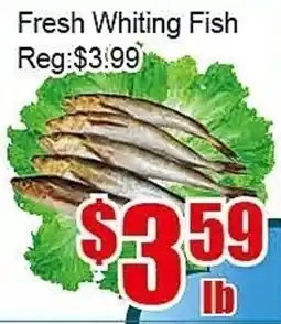 New Pacific Supermarket Fresh Whiting Fish offer