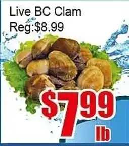 New Pacific Supermarket Live BC Clam offer