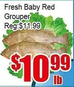 New Pacific Supermarket Fresh Baby Red Grouper offer