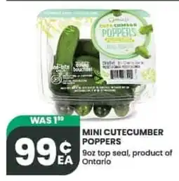 Olive Branch Mini cutecucumber poppers offer
