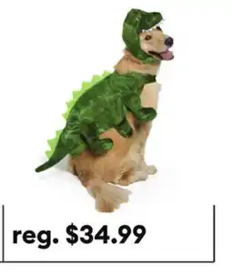 Petsmart Thrills & Chills Dinosaur Dog & Cat Costume offer
