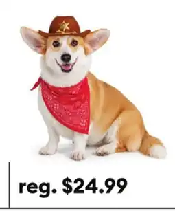 Petsmart Thrills & Chills Cowboy Hat & Bandana Dog & Cat Set offer
