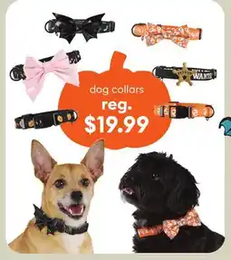 Petsmart dog collars offer