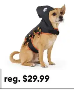 Petsmart Thrills & Chills Halloween Spider Dog Costume Harness offer