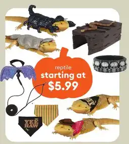 Petsmart reptile offer