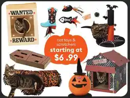 Petsmart cat toys & scratchers offer