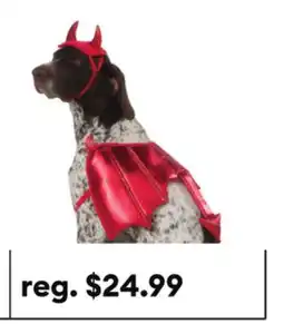 Petsmart Thrills & Chills Devil Dog & Cat Costume Set offer