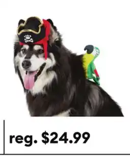 Petsmart Thrills & Chills Pirate Dog & Cat Costume Set offer