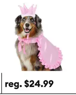 Petsmart Thrills & Chills Princess Dog & Cat Costume Set offer