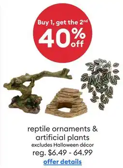 Petsmart Reptile ornaments & artificial plants offer