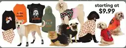 Petsmart apparel offer