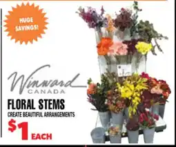 Len's Mill Stores WINWARD CANADA FLORAL STEMS offer