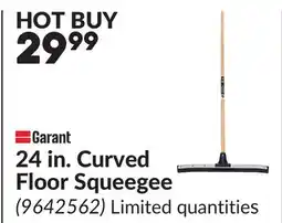 Princess Auto 24 in. Curved Floor Squeegee offer