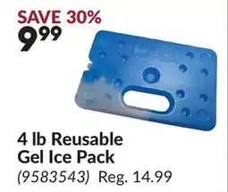Princess Auto 4 lb Reusable Gel Ice Pack offer