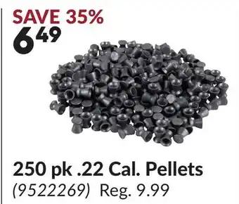 Princess Auto 250 pk .22 Cal. Pellets offer
