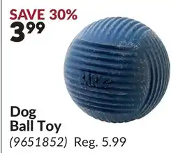Princess Auto Dog Ball Toy offer