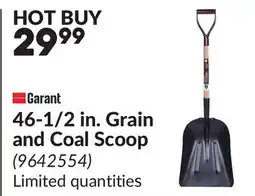 Princess Auto 46-1/2 in. Grain and Coal Scoop offer