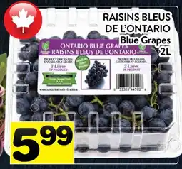 Supermarché PA RAISINS BLEUS DE L'ONTARIO | BLUE GRAPES offer