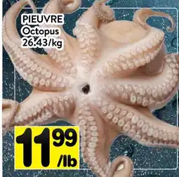 Supermarché PA PIEUVRE | Octopus offer