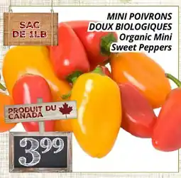 Supermarché PA MINI POIVRONS DOUX BIOLOGIQUES | Organic Mini Sweet Peppers offer