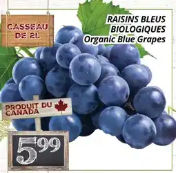Supermarché PA ORGANIC BLUE GRAPES | Organic Blue Grapes offer