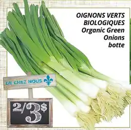 Supermarché PA OIGNONS VERTS BIOLOGIQUES | Organic Green Onions offer