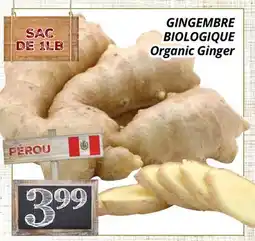 Supermarché PA GINGEMBRE BIOLOGIQUE | Organic Ginger offer