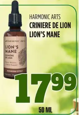 Marches Tau CRINIÈRE DE LION HARMONIC ARTS offer