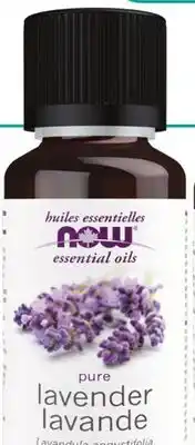Marches Tau NOW HUILE ESSENTIELLE DE LAVANDE offer