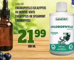 Marches Tau CHLOROPHYLLE EUCALYPTUS OU MENTHE VERTE LAND ART offer