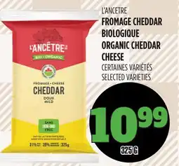 Marches Tau L'ANCÊTRE FROMAGE CHEDDAR BIOLOGIQUE offer