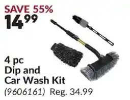 Princess Auto Dip and Car Wash Kit offer