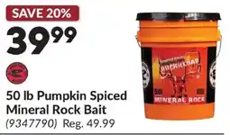 Princess Auto Mineral Rock Pumpkin Spiced Mineral Rock Bait offer