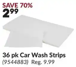 Princess Auto Car Wash Strips offer