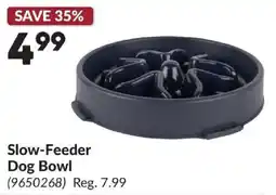 Princess Auto Slow-Feeder Dog Bowl offer