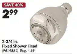 Princess Auto Fixed Shower Head offer