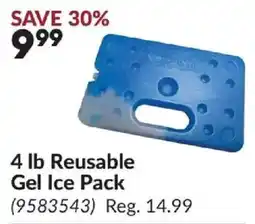 Princess Auto Reusable Gel Ice Pack offer