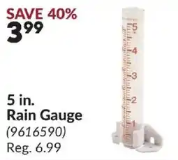 Princess Auto 5 in. Rain Gauge offer