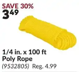 Princess Auto Poly Rope offer