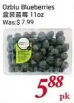 Foody Mart Ozblu Blueberries offer