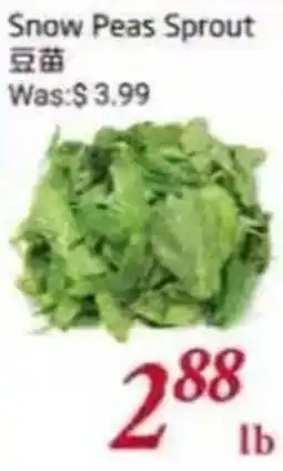 Foody Mart Snow Peas Sprout offer