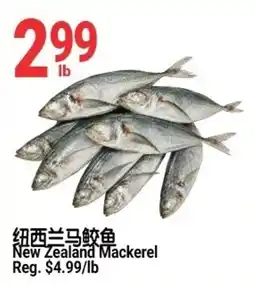 SunFood Supermarket New Zealand Mackerel offer