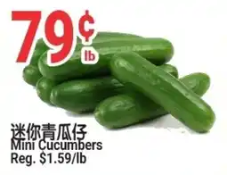 SunFood Supermarket Mini Cucumbers offer