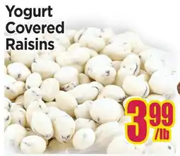 Johnvince Foods Yogurt Covered Raisins offer
