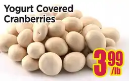 Johnvince Foods Yogurt Covered Cranberries offer