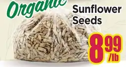 Johnvince Foods Organic Sunflower Seeds offer