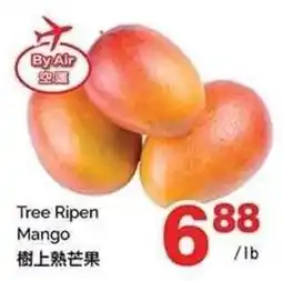 T&T Supermarket Tree Ripen Mango offer