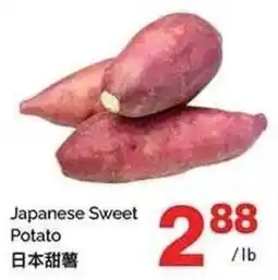 T&T Supermarket Japanese Sweet Potato offer